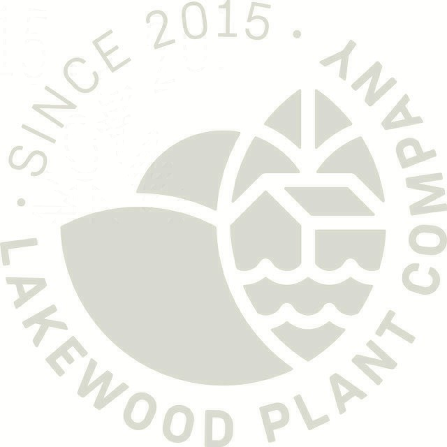 Lakewood Plant Company – NOW OPEN